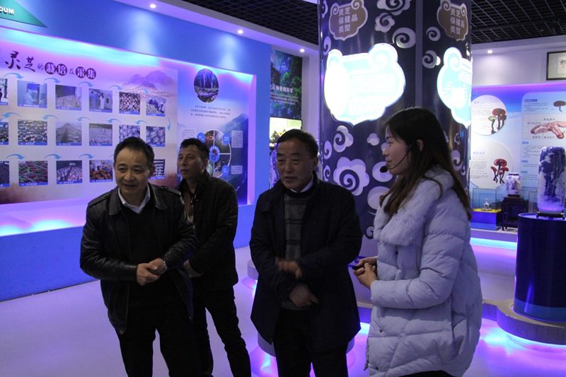 杭州亞運(yùn)會(huì)官方靈芝產(chǎn)品供應(yīng)商|杭州亞運(yùn)會(huì)官方供應(yīng)商|中國(guó)靈芝十大品牌|仙客來(lái)靈芝|仙客來(lái)靈芝破壁孢子粉|仙客來(lái)孢子油|仙客來(lái)靈芝飲片|仙客來(lái)破壁孢子粉|靈芝孢子油|孢子粉|靈芝破壁孢子粉|靈芝|中華老字號(hào)