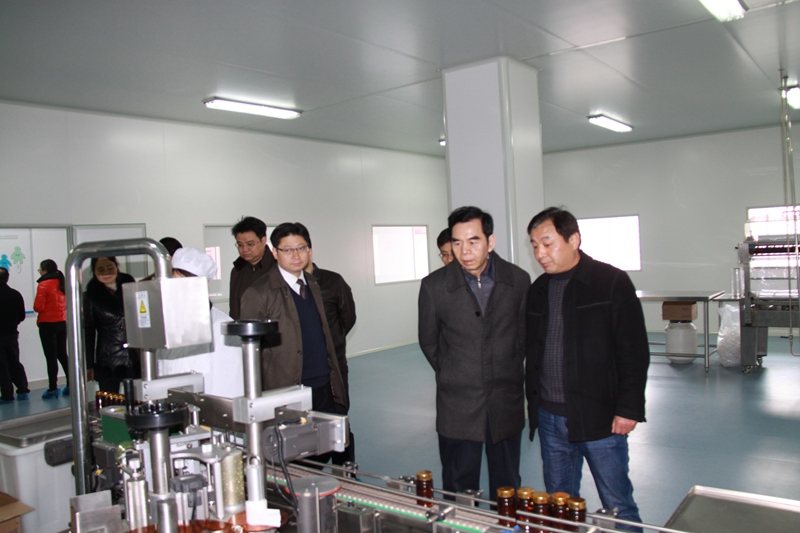 杭州亞運(yùn)會(huì)官方靈芝產(chǎn)品供應(yīng)商|杭州亞運(yùn)會(huì)官方供應(yīng)商|中國(guó)靈芝十大品牌|仙客來靈芝|仙客來靈芝破壁孢子粉|仙客來孢子油|仙客來靈芝飲片|仙客來破壁孢子粉|靈芝孢子油|孢子粉|靈芝破壁孢子粉|靈芝|中華老字號(hào)