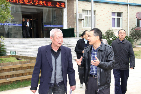 杭州亞運會官方靈芝產(chǎn)品供應商|杭州亞運會官方供應商|中國靈芝十大品牌|仙客來靈芝|仙客來靈芝破壁孢子粉|仙客來孢子油|仙客來靈芝飲片|仙客來破壁孢子粉|靈芝孢子油|孢子粉|靈芝破壁孢子粉|靈芝|中華老字號