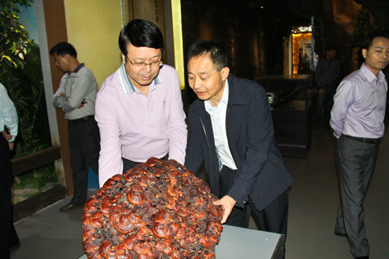 杭州亞運(yùn)會官方靈芝產(chǎn)品供應(yīng)商|杭州亞運(yùn)會官方供應(yīng)商|中國靈芝十大品牌|仙客來靈芝|仙客來靈芝破壁孢子粉|仙客來孢子油|仙客來靈芝飲片|仙客來破壁孢子粉|靈芝孢子油|孢子粉|靈芝破壁孢子粉|靈芝|中華老字號