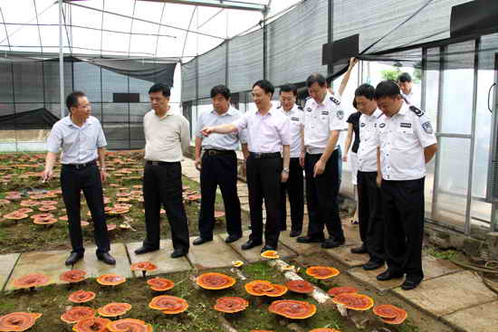 杭州亞運(yùn)會(huì)官方靈芝產(chǎn)品供應(yīng)商|杭州亞運(yùn)會(huì)官方供應(yīng)商|中國靈芝十大品牌|仙客來靈芝|仙客來靈芝破壁孢子粉|仙客來孢子油|仙客來靈芝飲片|仙客來破壁孢子粉|靈芝孢子油|孢子粉|靈芝破壁孢子粉|靈芝|中華老字號