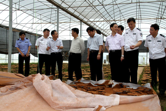 杭州亞運(yùn)會(huì)官方靈芝產(chǎn)品供應(yīng)商|杭州亞運(yùn)會(huì)官方供應(yīng)商|中國靈芝十大品牌|仙客來靈芝|仙客來靈芝破壁孢子粉|仙客來孢子油|仙客來靈芝飲片|仙客來破壁孢子粉|靈芝孢子油|孢子粉|靈芝破壁孢子粉|靈芝|中華老字號