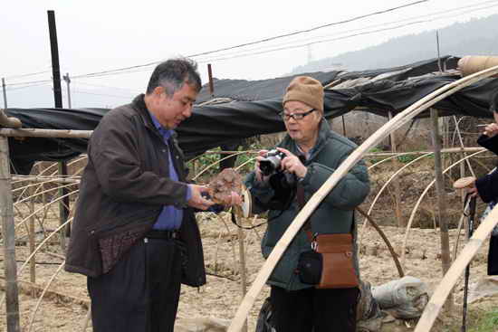 杭州亞運(yùn)會(huì)官方靈芝產(chǎn)品供應(yīng)商|杭州亞運(yùn)會(huì)官方供應(yīng)商|中國(guó)靈芝十大品牌|仙客來靈芝|仙客來靈芝破壁孢子粉|仙客來孢子油|仙客來靈芝飲片|仙客來破壁孢子粉|靈芝孢子油|孢子粉|靈芝破壁孢子粉|靈芝|中華老字號(hào)