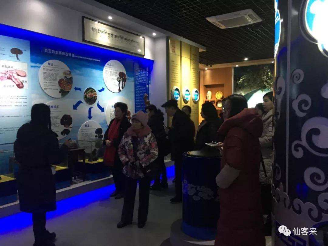 中國靈芝十大品牌|仙客來靈芝|仙客來靈芝破壁孢子粉|仙客來孢子油|仙客來靈芝飲片|仙客來破壁孢子粉|仙客來靈芝中藥飲片|馳名商標(biāo)|m.whsy100.cn|