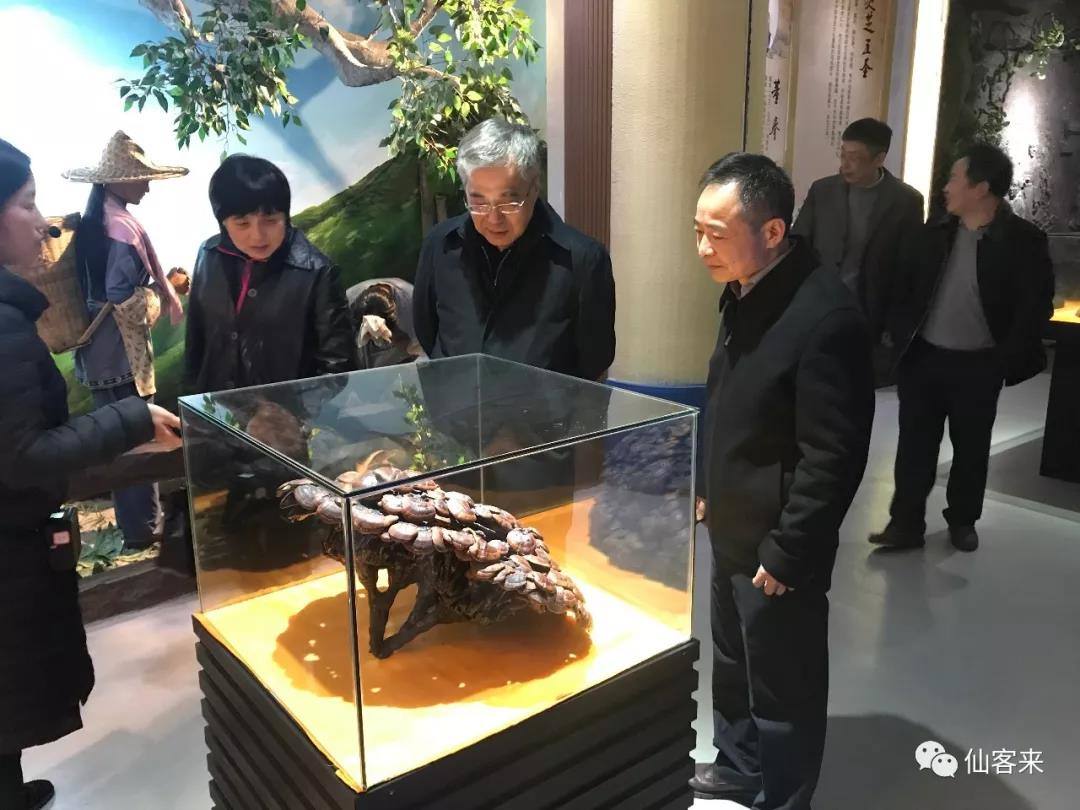 中國靈芝十大品牌|仙客來靈芝|仙客來靈芝破壁孢子粉|仙客來孢子油|仙客來靈芝飲片|仙客來破壁孢子粉|仙客來靈芝中藥飲片|馳名商標|m.whsy100.cn|