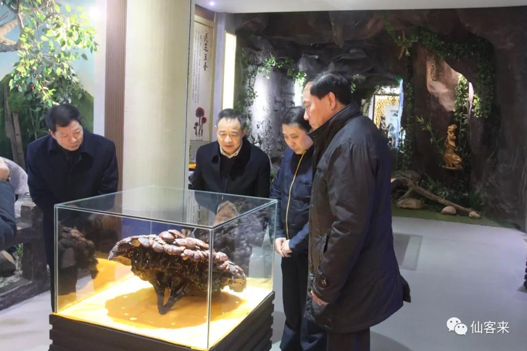 中國靈芝十大品牌|仙客來靈芝|仙客來靈芝破壁孢子粉|仙客來孢子油|仙客來靈芝飲片|仙客來破壁孢子粉|仙客來靈芝中藥飲片|馳名商標(biāo)|m.whsy100.cn|