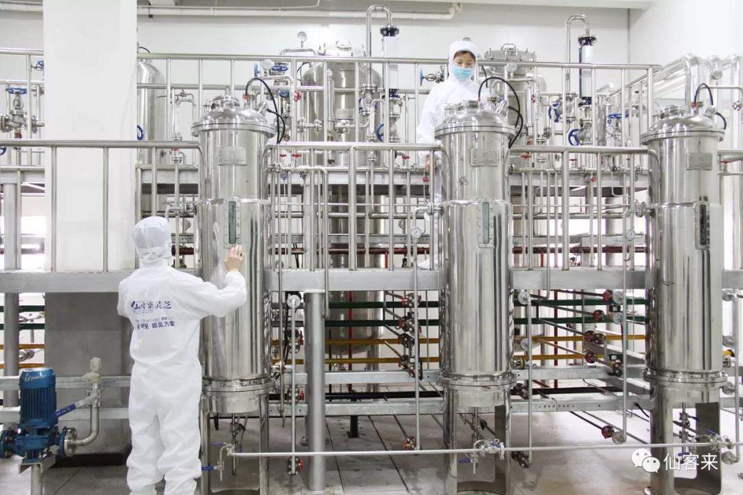 中國靈芝十大品牌|仙客來靈芝|仙客來靈芝破壁孢子粉|仙客來孢子油|仙客來靈芝飲片|仙客來破壁孢子粉|仙客來靈芝中藥飲片|馳名商標(biāo)|m.whsy100.cn|