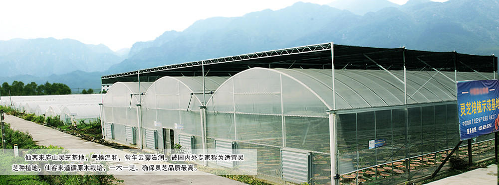 中國靈芝十大品牌|仙客來靈芝|仙客來靈芝破壁孢子粉|仙客來孢子油|仙客來靈芝飲片|仙客來破壁孢子粉|仙客來靈芝中藥飲片|馳名商標|m.whsy100.cn|