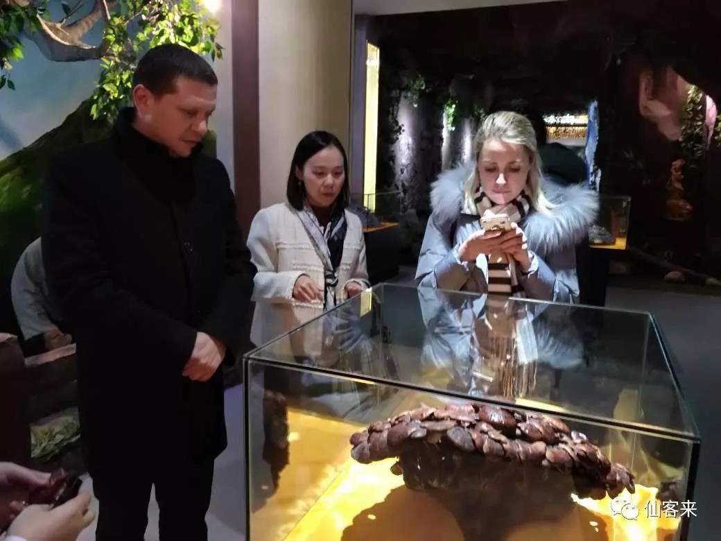 中國(guó)靈芝十大品牌|仙客來(lái)靈芝|仙客來(lái)靈芝破壁孢子粉|仙客來(lái)孢子油|仙客來(lái)靈芝飲片|仙客來(lái)破壁孢子粉|仙客來(lái)靈芝中藥飲片|馳名商標(biāo)|m.whsy100.cn|