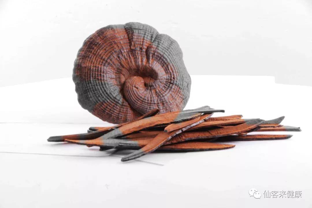 中國靈芝十大品牌|仙客來靈芝|仙客來靈芝破壁孢子粉|仙客來孢子油|仙客來靈芝飲片|仙客來破壁孢子粉|仙客來靈芝中藥飲片|馳名商標(biāo)|m.whsy100.cn|