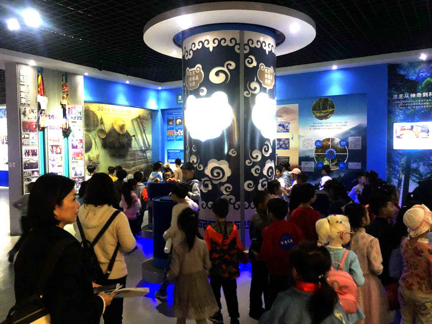 杭州亞運(yùn)會(huì)官方靈芝產(chǎn)品供應(yīng)商|杭州亞運(yùn)會(huì)官方供應(yīng)商|中國靈芝十大品牌|仙客來靈芝|仙客來靈芝破壁孢子粉|仙客來孢子油|仙客來靈芝飲片|仙客來破壁孢子粉|靈芝孢子油|孢子粉|靈芝破壁孢子粉|靈芝|中華老字號