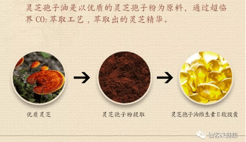 中國靈芝十大品牌|仙客來靈芝|仙客來靈芝破壁孢子粉|仙客來孢子油|仙客來靈芝飲片|仙客來破壁孢子粉|仙客來靈芝中藥飲片|馳名商標(biāo)|m.whsy100.cn|