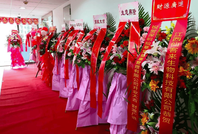 中國靈芝十大品牌|仙客來靈芝|仙客來靈芝破壁孢子粉|仙客來孢子油|仙客來靈芝飲片|仙客來破壁孢子粉|仙客來靈芝中藥飲片|馳名商標(biāo)|m.whsy100.cn|