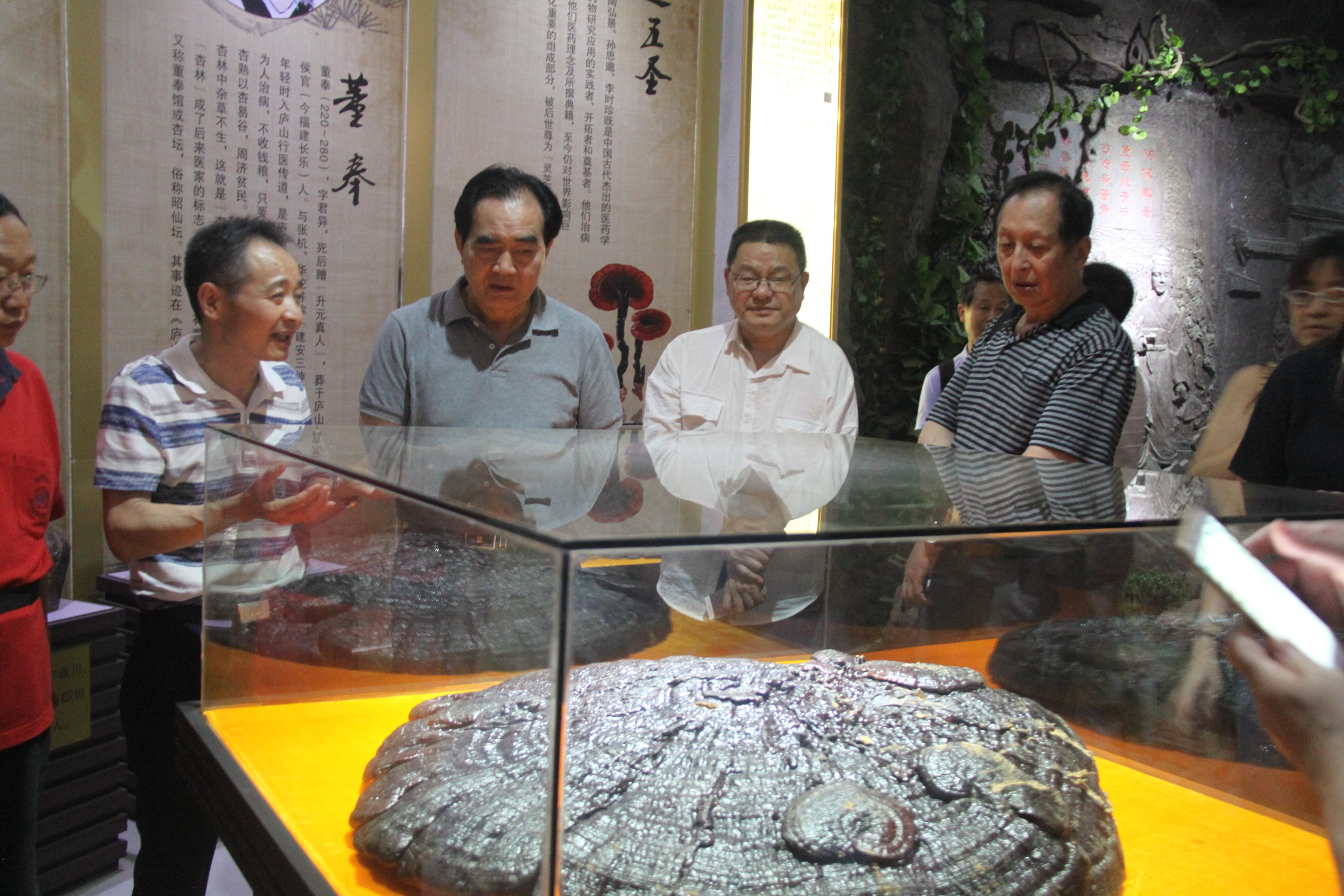 中國(guó)靈芝十大品牌|仙客來靈芝|仙客來靈芝破壁孢子粉|仙客來孢子油|仙客來靈芝飲片|仙客來破壁孢子粉|仙客來靈芝中藥飲片|馳名商標(biāo)|m.whsy100.cn|