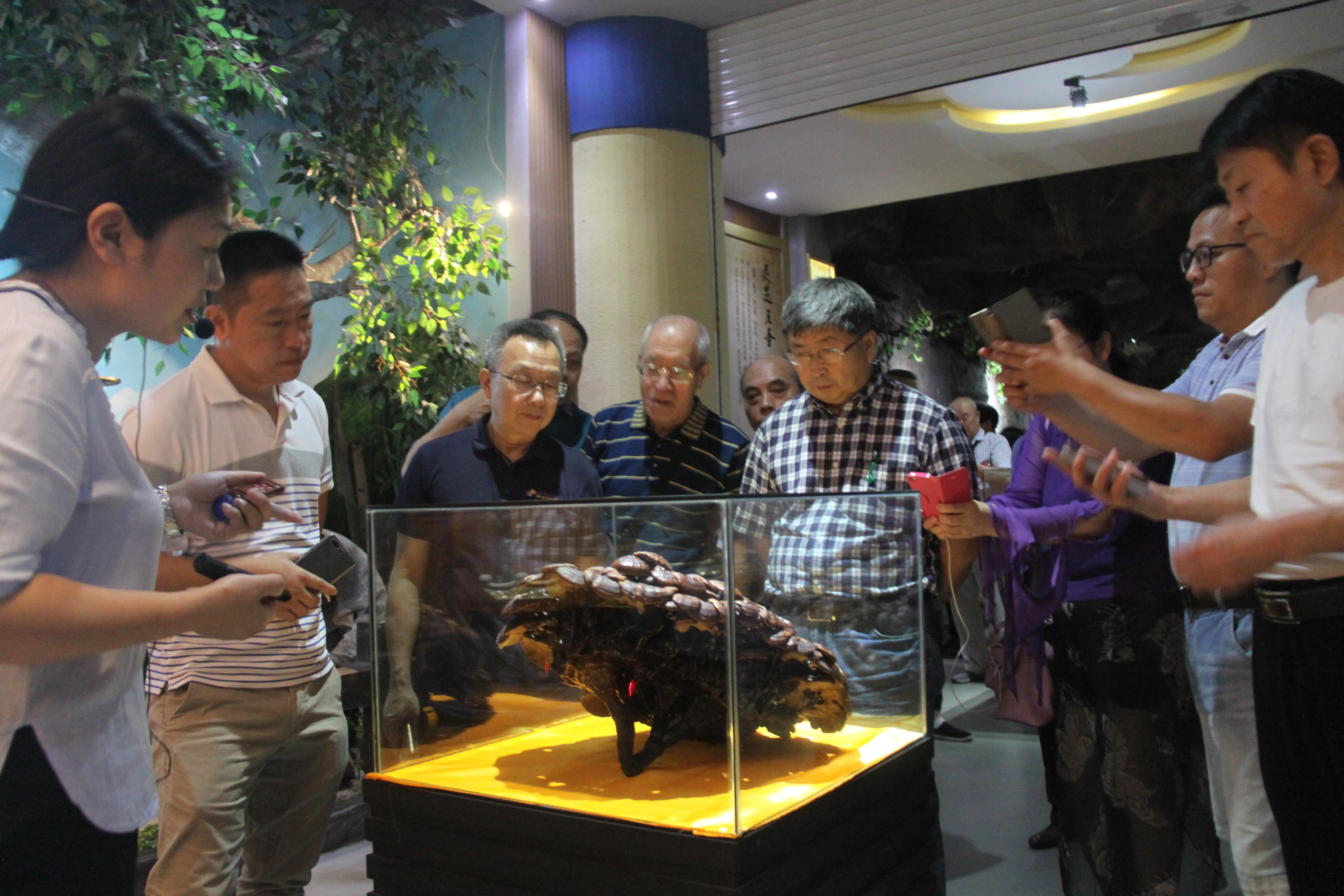 中國(guó)靈芝十大品牌|仙客來靈芝|仙客來靈芝破壁孢子粉|仙客來孢子油|仙客來靈芝飲片|仙客來破壁孢子粉|仙客來靈芝中藥飲片|馳名商標(biāo)|m.whsy100.cn|