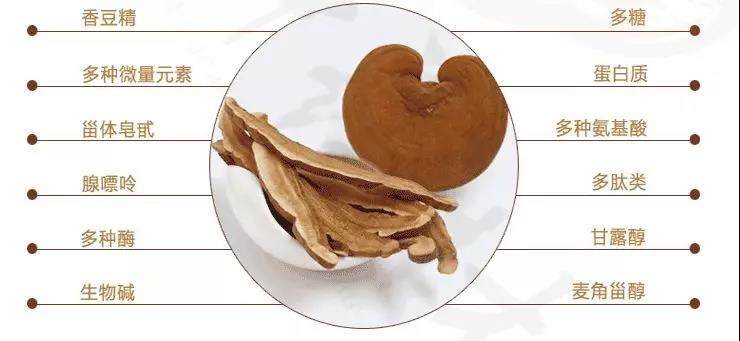 中國(guó)靈芝十大品牌|仙客來靈芝|仙客來靈芝破壁孢子粉|仙客來孢子油|仙客來靈芝飲片|仙客來破壁孢子粉|仙客來靈芝中藥飲片|馳名商標(biāo)|m.whsy100.cn|