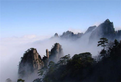 中國(guó)靈芝十大品牌|仙客來(lái)靈芝|仙客來(lái)靈芝破壁孢子粉|仙客來(lái)孢子油|仙客來(lái)靈芝飲片|仙客來(lái)破壁孢子粉|仙客來(lái)靈芝中藥飲片|馳名商標(biāo)|m.whsy100.cn|