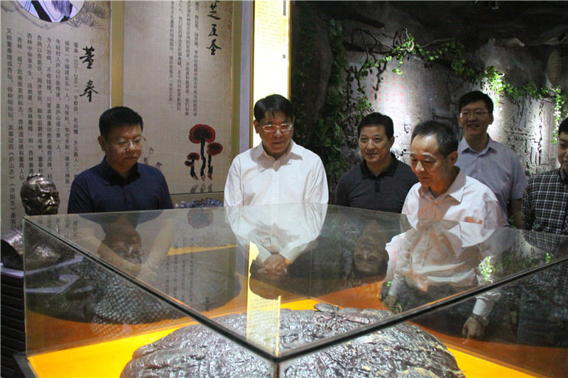 中國靈芝十大品牌|仙客來靈芝|仙客來靈芝破壁孢子粉|仙客來孢子油|仙客來靈芝飲片|仙客來破壁孢子粉|仙客來靈芝中藥飲片|馳名商標(biāo)|m.whsy100.cn|