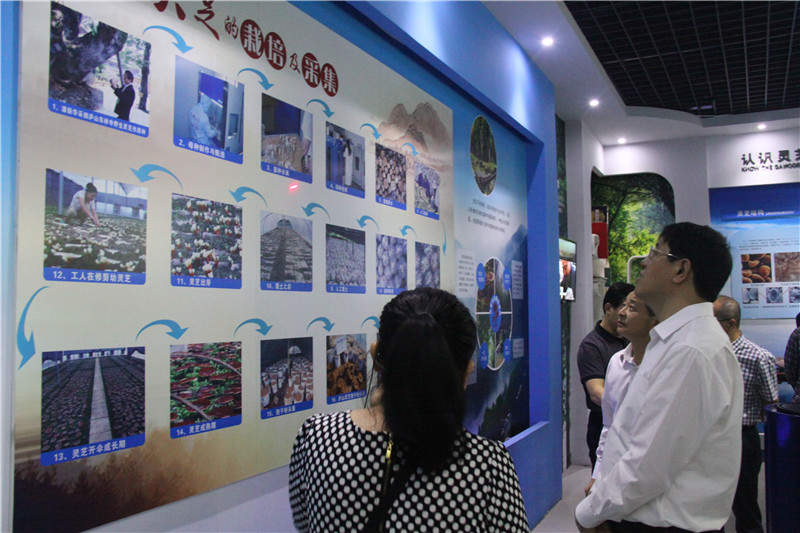 中國靈芝十大品牌|仙客來靈芝|仙客來靈芝破壁孢子粉|仙客來孢子油|仙客來靈芝飲片|仙客來破壁孢子粉|仙客來靈芝中藥飲片|馳名商標(biāo)|m.whsy100.cn|