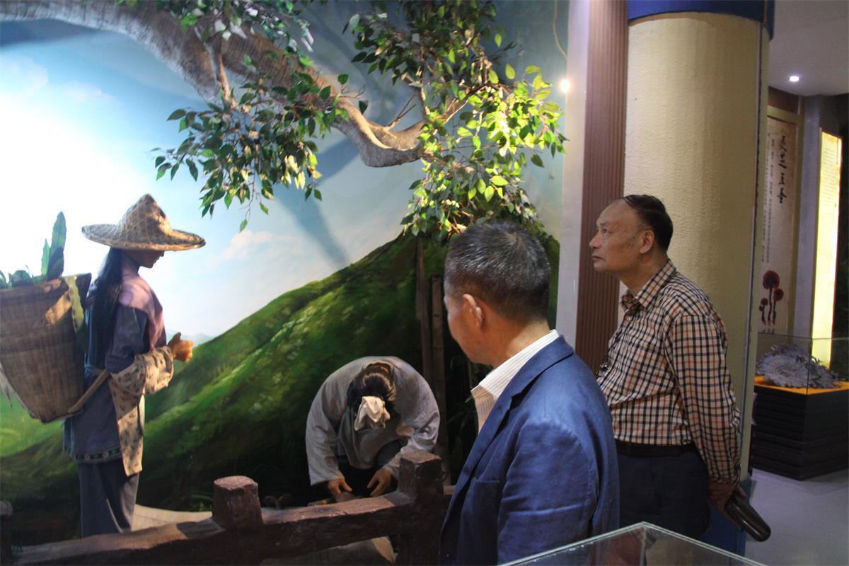 中國靈芝十大品牌|仙客來靈芝|仙客來靈芝破壁孢子粉|仙客來孢子油|仙客來靈芝飲片|仙客來破壁孢子粉|仙客來靈芝中藥飲片|馳名商標(biāo)|m.whsy100.cn|