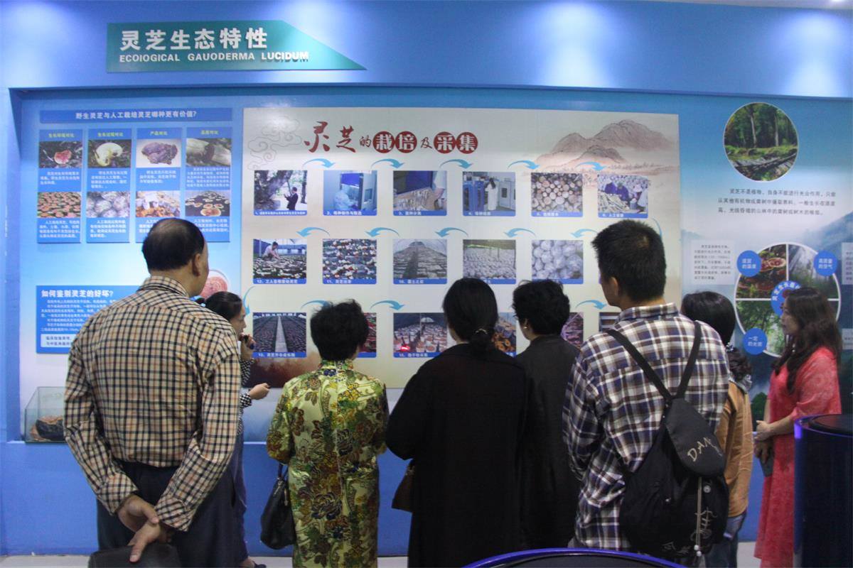 中國靈芝十大品牌|仙客來靈芝|仙客來靈芝破壁孢子粉|仙客來孢子油|仙客來靈芝飲片|仙客來破壁孢子粉|仙客來靈芝中藥飲片|馳名商標(biāo)|m.whsy100.cn|