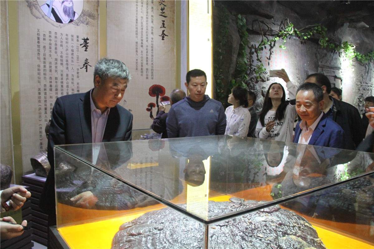 中國靈芝十大品牌|仙客來靈芝|仙客來靈芝破壁孢子粉|仙客來孢子油|仙客來靈芝飲片|仙客來破壁孢子粉|仙客來靈芝中藥飲片|馳名商標|m.whsy100.cn|