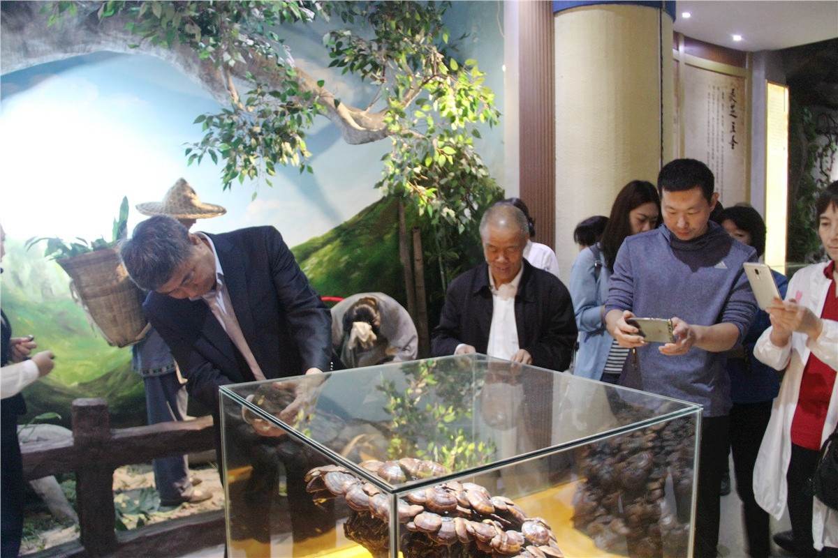 中國靈芝十大品牌|仙客來靈芝|仙客來靈芝破壁孢子粉|仙客來孢子油|仙客來靈芝飲片|仙客來破壁孢子粉|仙客來靈芝中藥飲片|馳名商標|m.whsy100.cn|