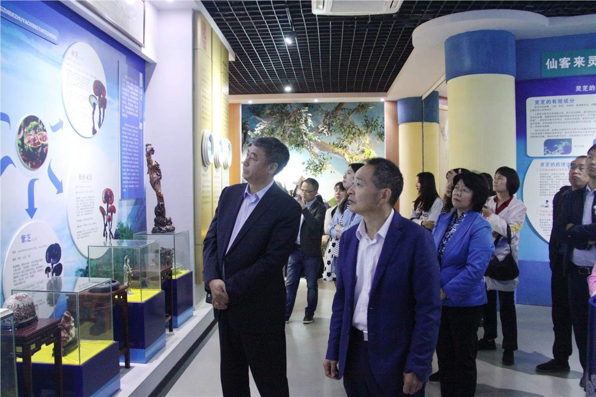 中國靈芝十大品牌|仙客來靈芝|仙客來靈芝破壁孢子粉|仙客來孢子油|仙客來靈芝飲片|仙客來破壁孢子粉|仙客來靈芝中藥飲片|馳名商標|m.whsy100.cn|