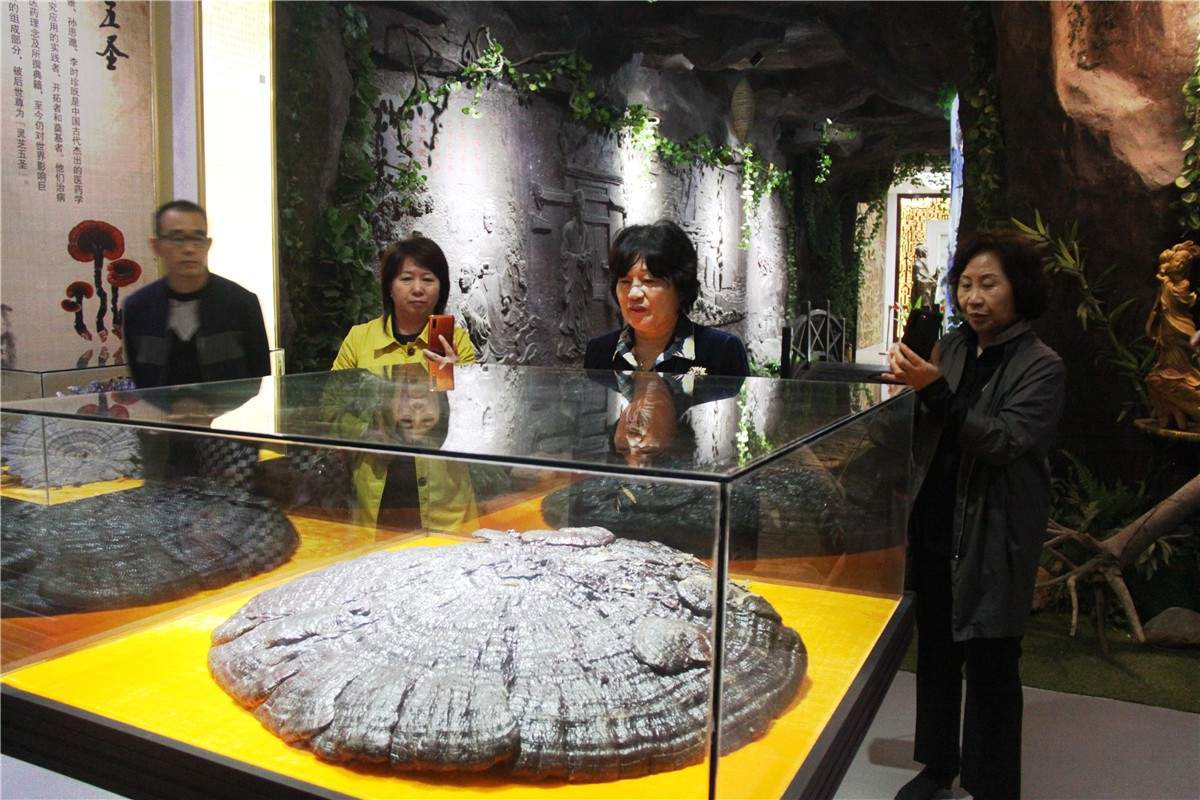 中國靈芝十大品牌|仙客來靈芝|仙客來靈芝破壁孢子粉|仙客來孢子油|仙客來靈芝飲片|仙客來破壁孢子粉|仙客來靈芝中藥飲片|馳名商標|m.whsy100.cn|