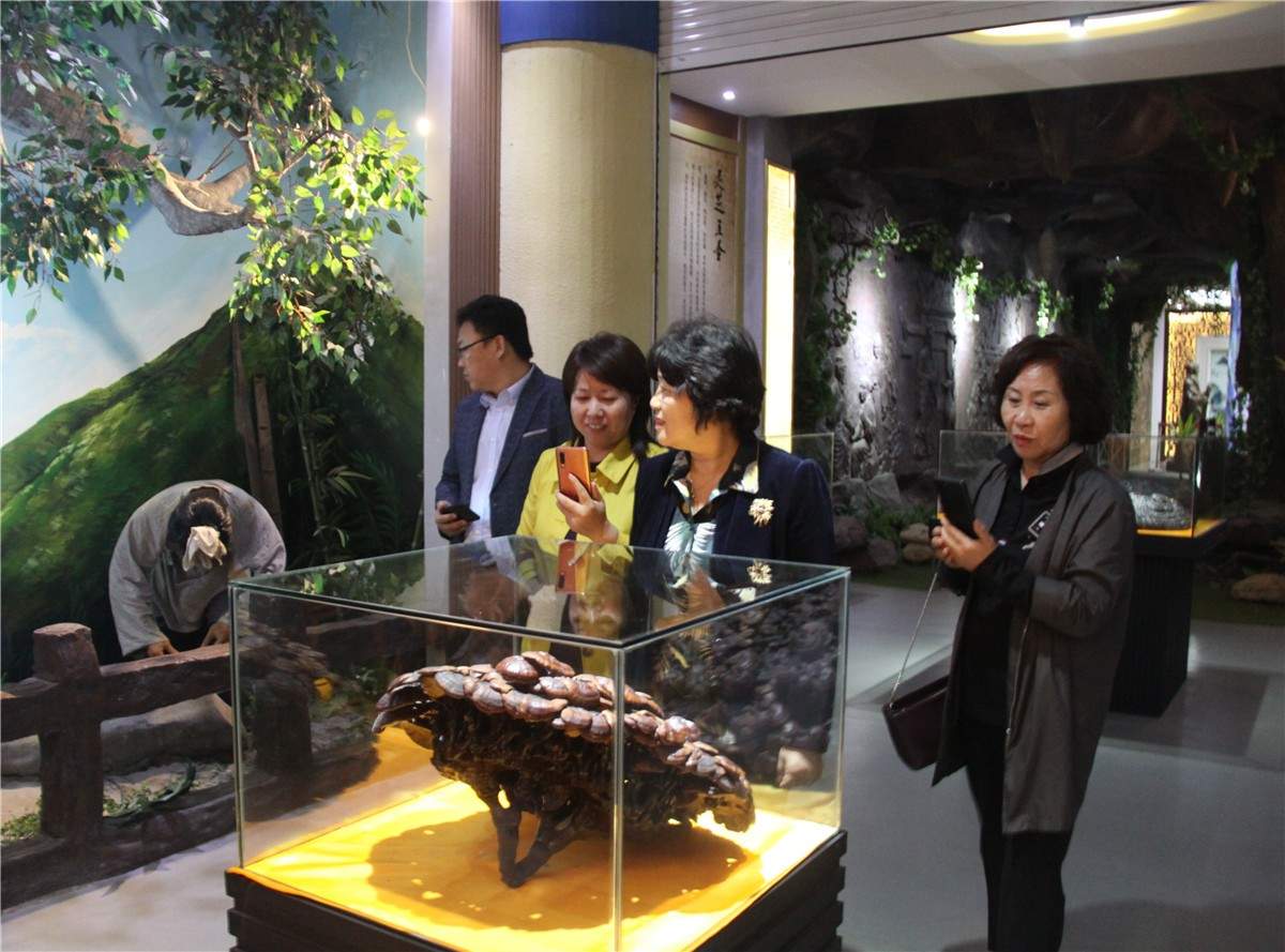 中國靈芝十大品牌|仙客來靈芝|仙客來靈芝破壁孢子粉|仙客來孢子油|仙客來靈芝飲片|仙客來破壁孢子粉|仙客來靈芝中藥飲片|馳名商標|m.whsy100.cn|