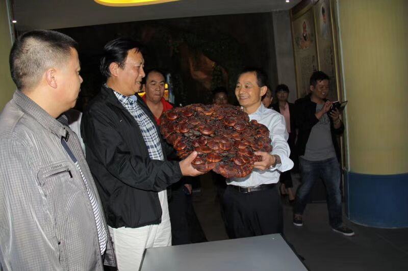 中國靈芝十大品牌|仙客來靈芝|仙客來靈芝破壁孢子粉|仙客來孢子油|仙客來靈芝飲片|仙客來破壁孢子粉|仙客來靈芝中藥飲片|馳名商標(biāo)|m.whsy100.cn|