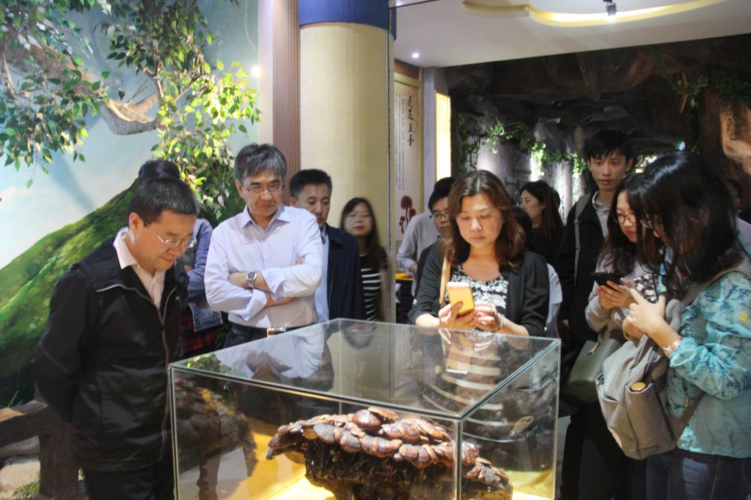 中國靈芝十大品牌|仙客來靈芝|仙客來靈芝破壁孢子粉|仙客來孢子油|仙客來靈芝飲片|仙客來破壁孢子粉|仙客來靈芝中藥飲片|馳名商標(biāo)|m.whsy100.cn|