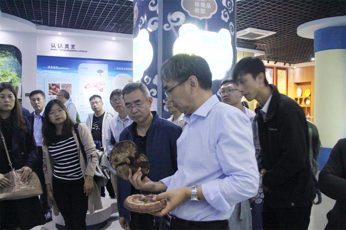 中國靈芝十大品牌|仙客來靈芝|仙客來靈芝破壁孢子粉|仙客來孢子油|仙客來靈芝飲片|仙客來破壁孢子粉|仙客來靈芝中藥飲片|馳名商標(biāo)|m.whsy100.cn|