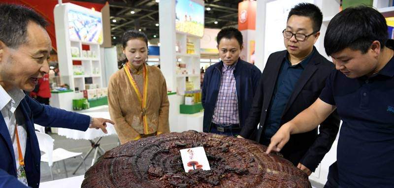 中國靈芝十大品牌|仙客來靈芝|仙客來靈芝破壁孢子粉|仙客來孢子油|仙客來靈芝飲片|仙客來破壁孢子粉|仙客來靈芝中藥飲片|馳名商標|m.whsy100.cn|