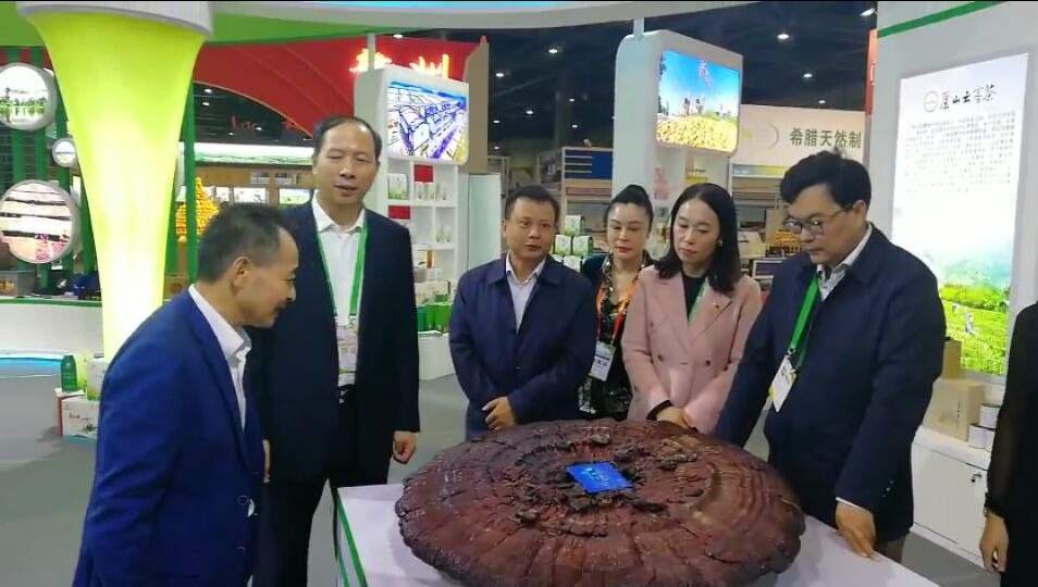 中國靈芝十大品牌|仙客來靈芝|仙客來靈芝破壁孢子粉|仙客來孢子油|仙客來靈芝飲片|仙客來破壁孢子粉|仙客來靈芝中藥飲片|馳名商標|m.whsy100.cn|