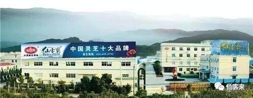 中國靈芝十大品牌|仙客來靈芝|仙客來靈芝破壁孢子粉|仙客來孢子油|仙客來靈芝飲片|仙客來破壁孢子粉|仙客來靈芝中藥飲片|馳名商標|m.whsy100.cn|