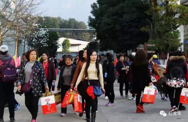 中國靈芝十大品牌|仙客來靈芝|仙客來靈芝破壁孢子粉|仙客來孢子油|仙客來靈芝飲片|仙客來破壁孢子粉|仙客來靈芝中藥飲片|馳名商標|m.whsy100.cn|