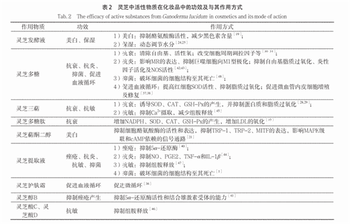 杭州亞運會官方靈芝產(chǎn)品供應(yīng)商|杭州亞運會官方供應(yīng)商|中國靈芝十大品牌|仙客來靈芝|仙客來靈芝破壁孢子粉|仙客來孢子油|仙客來靈芝飲片|仙客來破壁孢子粉|靈芝孢子油|孢子粉|靈芝破壁孢子粉|靈芝|中華老字號 杭州亞運會官方靈芝產(chǎn)品供應(yīng)商|杭州亞運會官方供應(yīng)商|中國靈芝十大品牌|仙客來靈芝|仙客來靈芝破壁孢子粉|仙客來孢子油|仙客來靈芝飲片|仙客來破壁孢子粉|靈芝孢子油|孢子粉|靈芝破壁孢子粉|靈芝|中華老字號