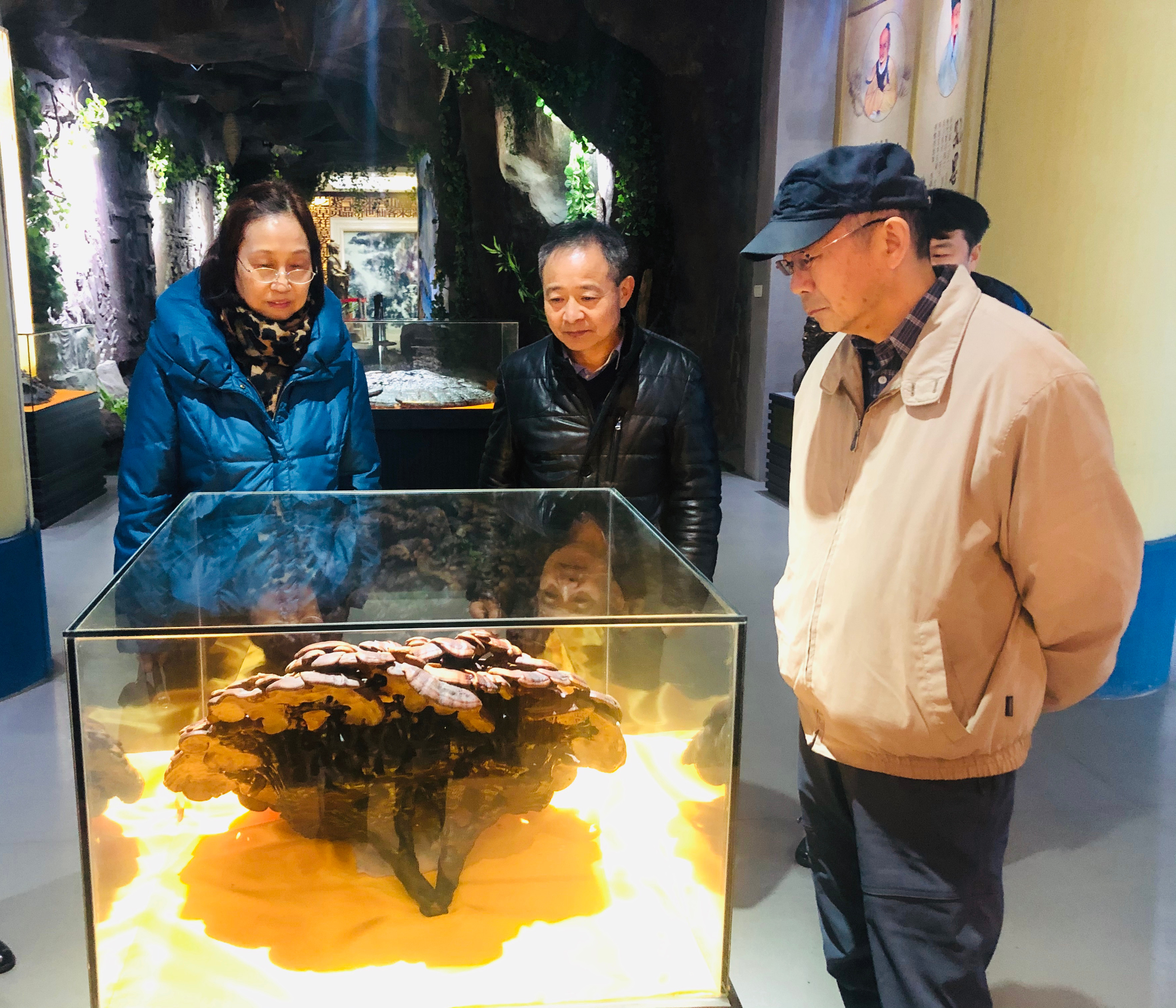 杭州亞運(yùn)會(huì)官方靈芝產(chǎn)品供應(yīng)商|杭州亞運(yùn)會(huì)官方供應(yīng)商|中國靈芝十大品牌|仙客來靈芝|仙客來靈芝破壁孢子粉|仙客來孢子油|仙客來靈芝飲片|仙客來破壁孢子粉|靈芝孢子油|孢子粉|靈芝破壁孢子粉|靈芝|中華老字號(hào)