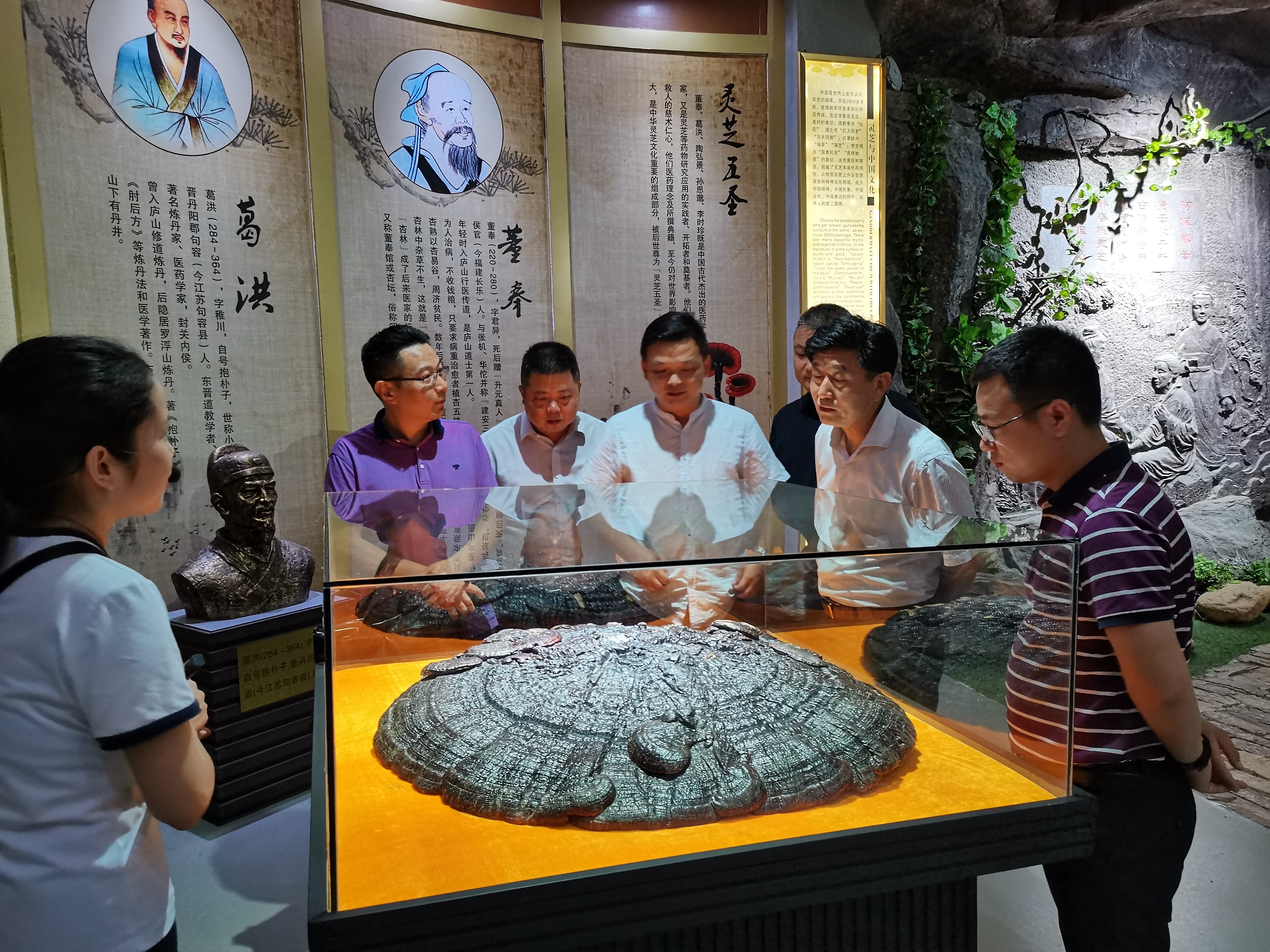 杭州亞運會官方靈芝產(chǎn)品供應商|杭州亞運會官方供應商|中國靈芝十大品牌|仙客來靈芝|仙客來靈芝破壁孢子粉|仙客來孢子油|仙客來靈芝飲片|仙客來破壁孢子粉|靈芝孢子油|孢子粉|靈芝破壁孢子粉|靈芝|中華老字號