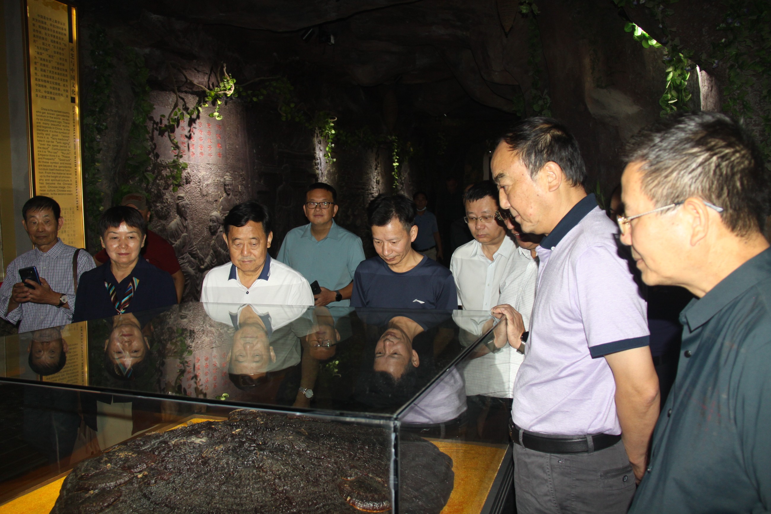 杭州亞運會官方靈芝產(chǎn)品供應商|杭州亞運會官方供應商|中國靈芝十大品牌|仙客來靈芝|仙客來靈芝破壁孢子粉|仙客來孢子油|仙客來靈芝飲片|仙客來破壁孢子粉|靈芝孢子油|孢子粉|靈芝破壁孢子粉|靈芝|中華老字號