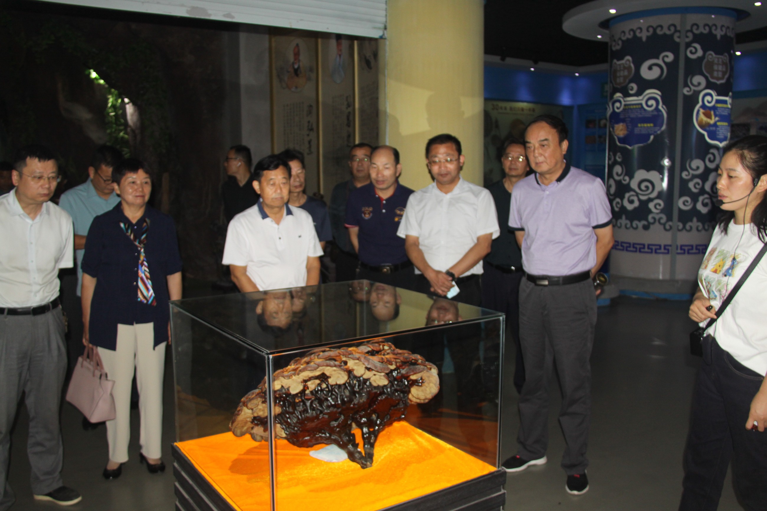 杭州亞運會官方靈芝產(chǎn)品供應商|杭州亞運會官方供應商|中國靈芝十大品牌|仙客來靈芝|仙客來靈芝破壁孢子粉|仙客來孢子油|仙客來靈芝飲片|仙客來破壁孢子粉|靈芝孢子油|孢子粉|靈芝破壁孢子粉|靈芝|中華老字號