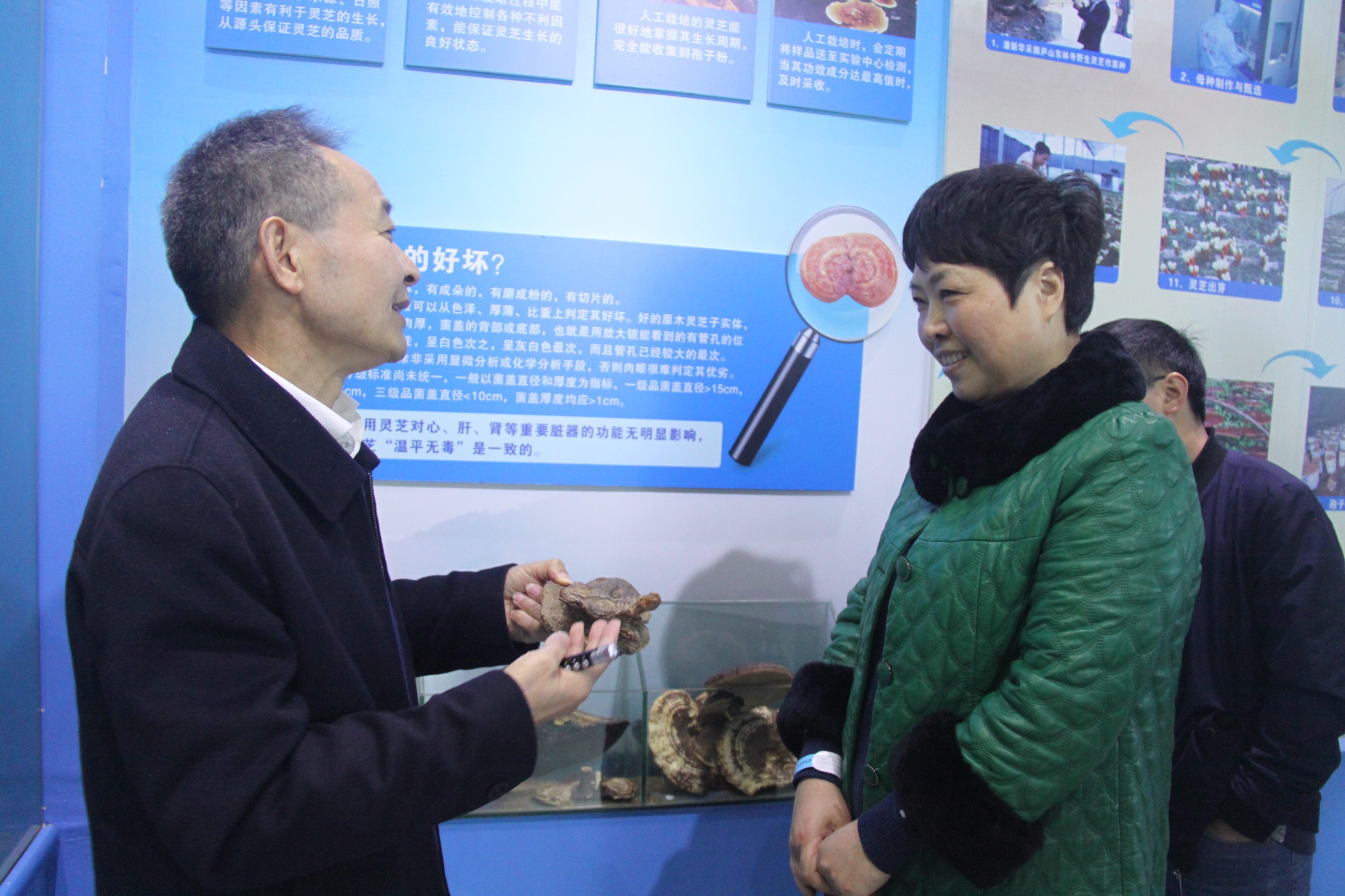 杭州亞運(yùn)會(huì)官方靈芝產(chǎn)品供應(yīng)商|杭州亞運(yùn)會(huì)官方供應(yīng)商|中國靈芝十大品牌|仙客來靈芝|仙客來靈芝破壁孢子粉|仙客來孢子油|仙客來靈芝飲片|仙客來破壁孢子粉|靈芝孢子油|孢子粉|靈芝破壁孢子粉|靈芝|中華老字號(hào)