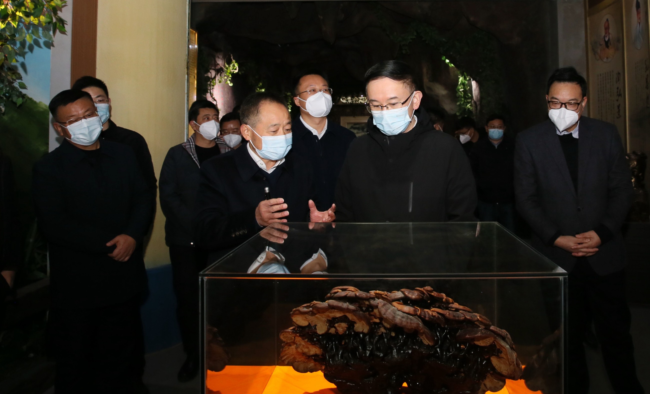 杭州亞運(yùn)會(huì)官方靈芝產(chǎn)品供應(yīng)商|杭州亞運(yùn)會(huì)官方供應(yīng)商|中國(guó)靈芝十大品牌|仙客來靈芝|仙客來靈芝破壁孢子粉|仙客來孢子油|仙客來靈芝飲片|仙客來破壁孢子粉|靈芝孢子油|孢子粉|靈芝破壁孢子粉|靈芝|中華老字號(hào)