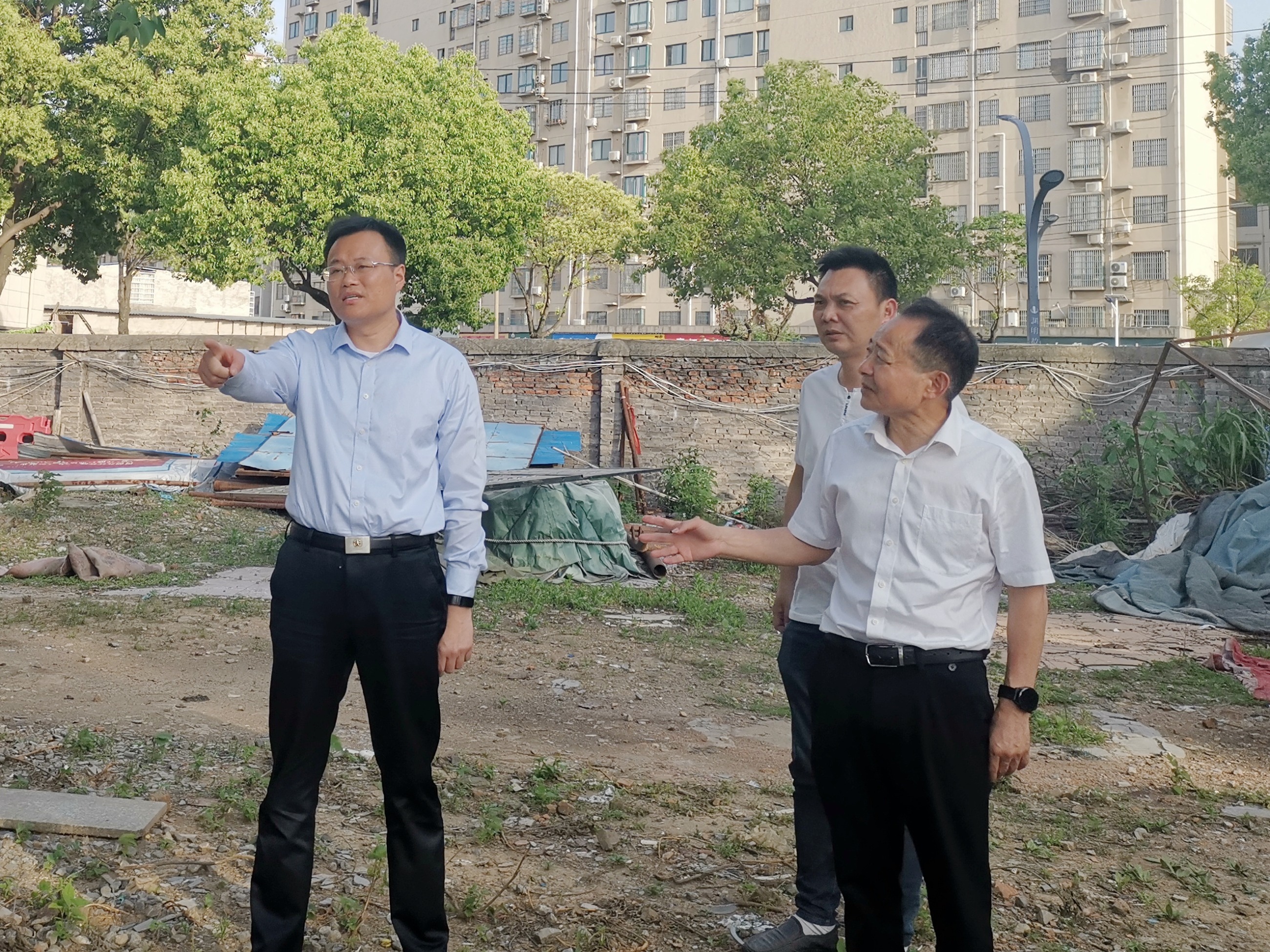 杭州亞運(yùn)會(huì)官方靈芝產(chǎn)品供應(yīng)商|杭州亞運(yùn)會(huì)官方供應(yīng)商|中國(guó)靈芝十大品牌|仙客來(lái)靈芝|仙客來(lái)靈芝破壁孢子粉|仙客來(lái)孢子油|仙客來(lái)靈芝飲片|仙客來(lái)破壁孢子粉|靈芝孢子油|孢子粉|靈芝破壁孢子粉|靈芝|中華老字號(hào)