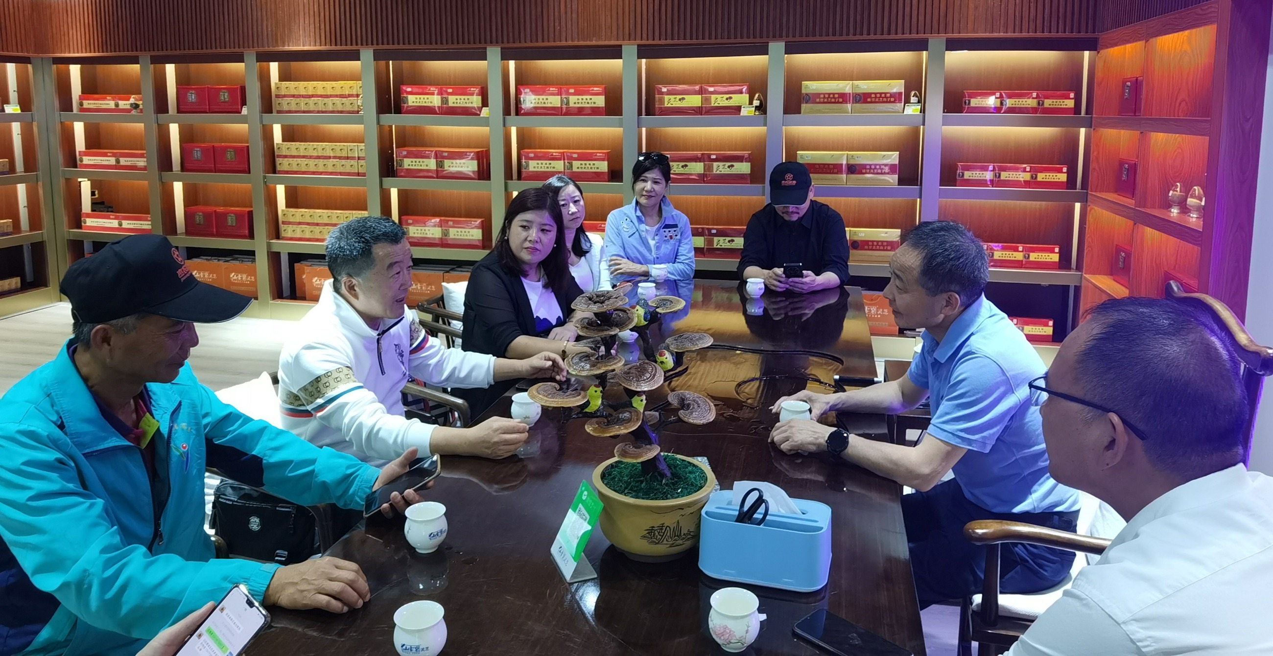 杭州亞運(yùn)會官方靈芝產(chǎn)品供應(yīng)商|杭州亞運(yùn)會官方供應(yīng)商|中國靈芝十大品牌|仙客來靈芝|仙客來靈芝破壁孢子粉|仙客來孢子油|仙客來靈芝飲片|仙客來破壁孢子粉|靈芝孢子油|孢子粉|靈芝破壁孢子粉|靈芝|中華老字號