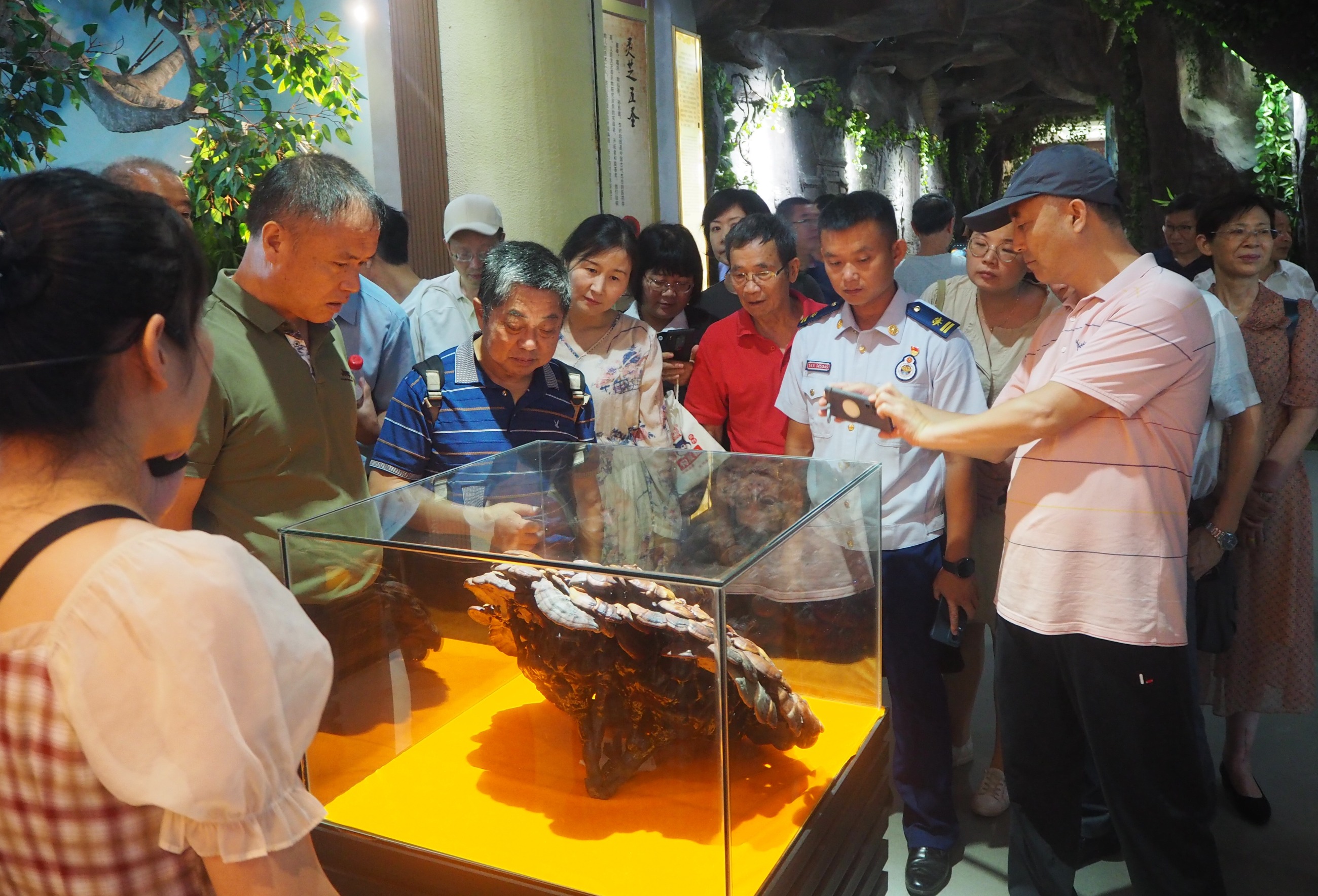 杭州亞運(yùn)會官方靈芝產(chǎn)品供應(yīng)商|杭州亞運(yùn)會官方供應(yīng)商|中國靈芝十大品牌|仙客來靈芝|仙客來靈芝破壁孢子粉|仙客來孢子油|仙客來靈芝飲片|仙客來破壁孢子粉|靈芝孢子油|孢子粉|靈芝破壁孢子粉|靈芝|中華老字號