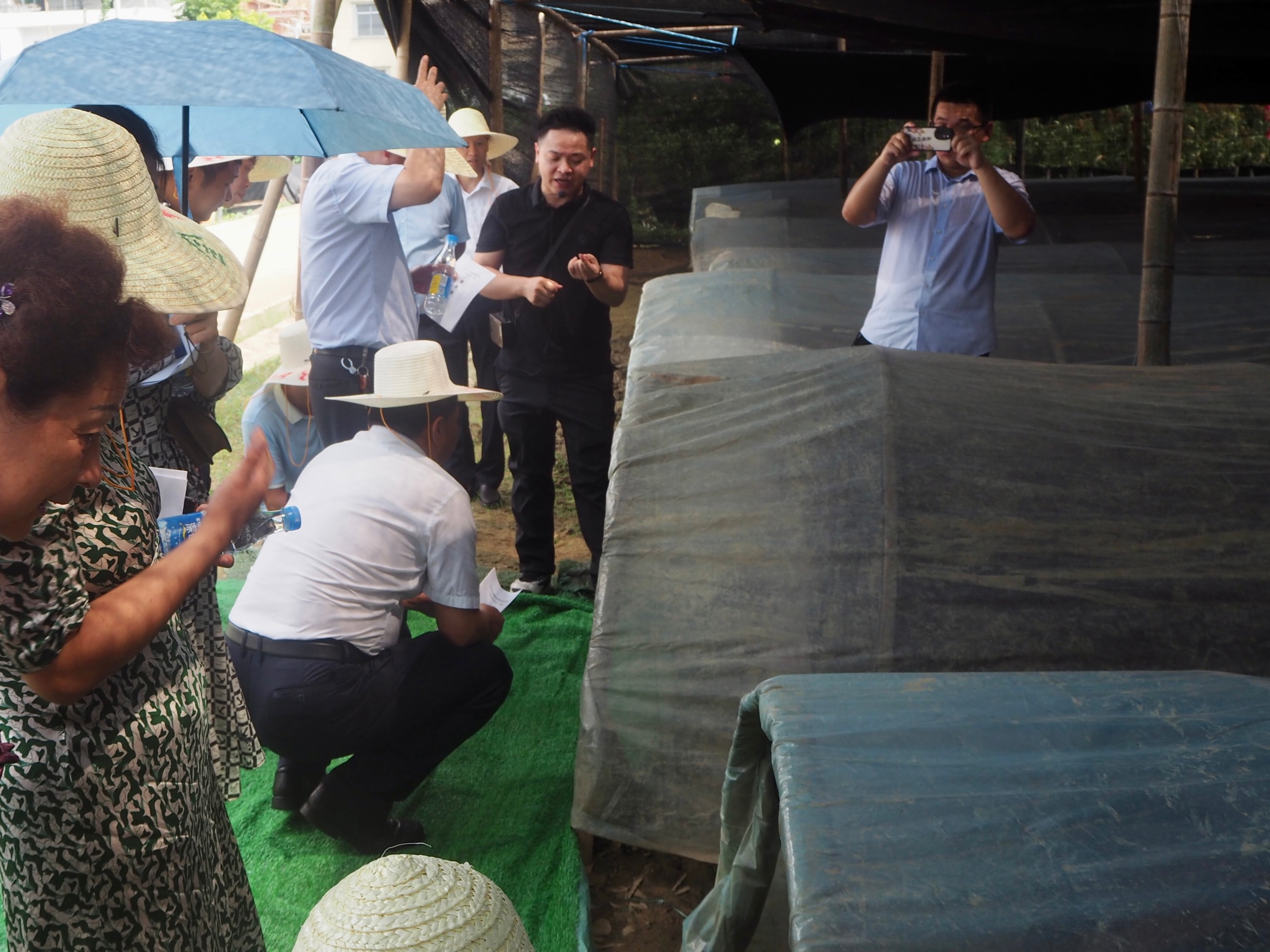 杭州亞運會官方靈芝產(chǎn)品供應(yīng)商|杭州亞運會官方供應(yīng)商|中國靈芝十大品牌|仙客來靈芝|仙客來靈芝破壁孢子粉|仙客來孢子油|仙客來靈芝飲片|仙客來破壁孢子粉|靈芝孢子油|孢子粉|靈芝破壁孢子粉|靈芝|中華老字號