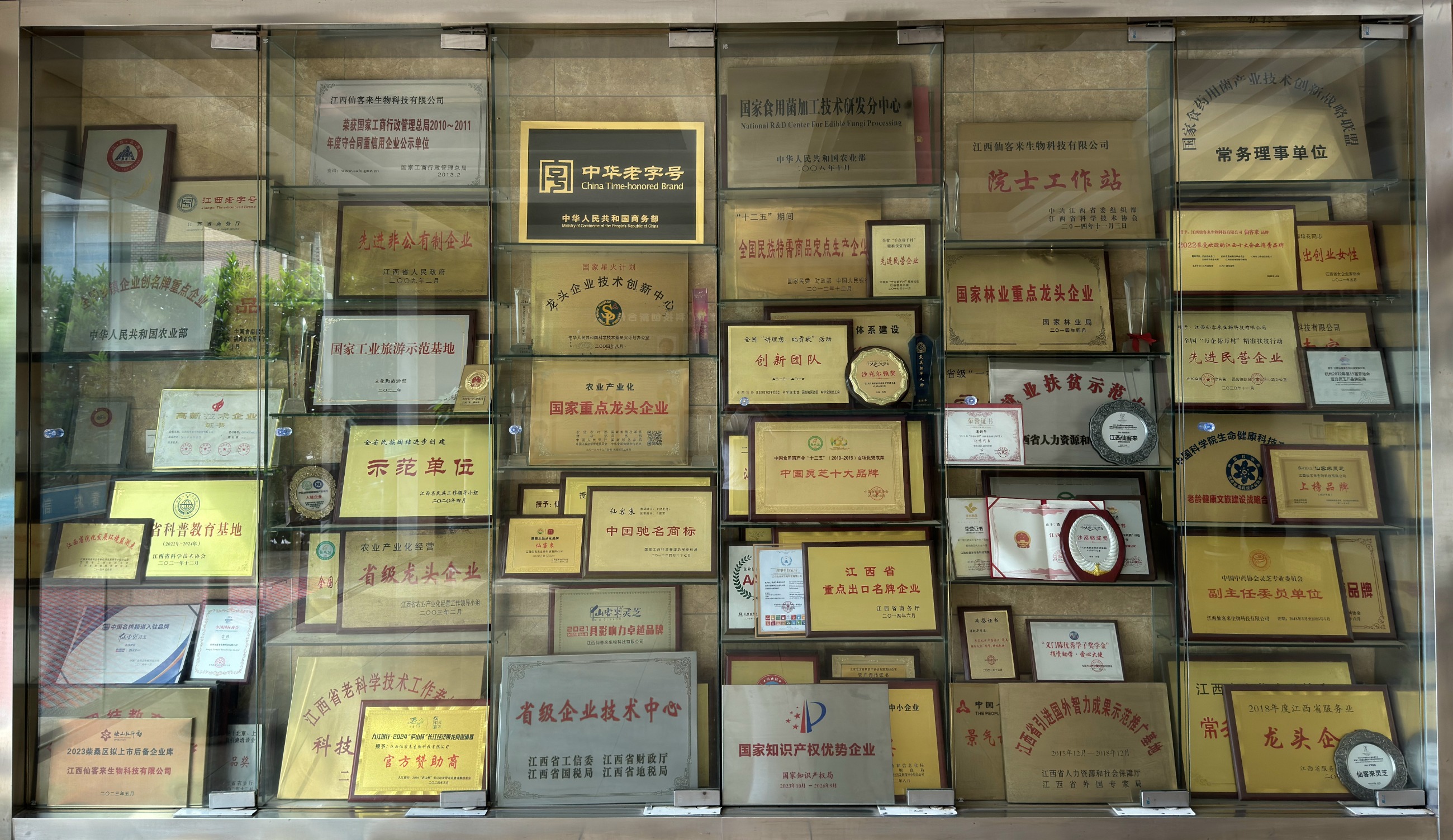 杭州亞運(yùn)會(huì)官方靈芝產(chǎn)品供應(yīng)商|杭州亞運(yùn)會(huì)官方供應(yīng)商|中國靈芝十大品牌|仙客來靈芝|仙客來靈芝破壁孢子粉|仙客來孢子油|仙客來靈芝飲片|仙客來破壁孢子粉|靈芝孢子油|孢子粉|靈芝破壁孢子粉|靈芝|中華老字號(hào)