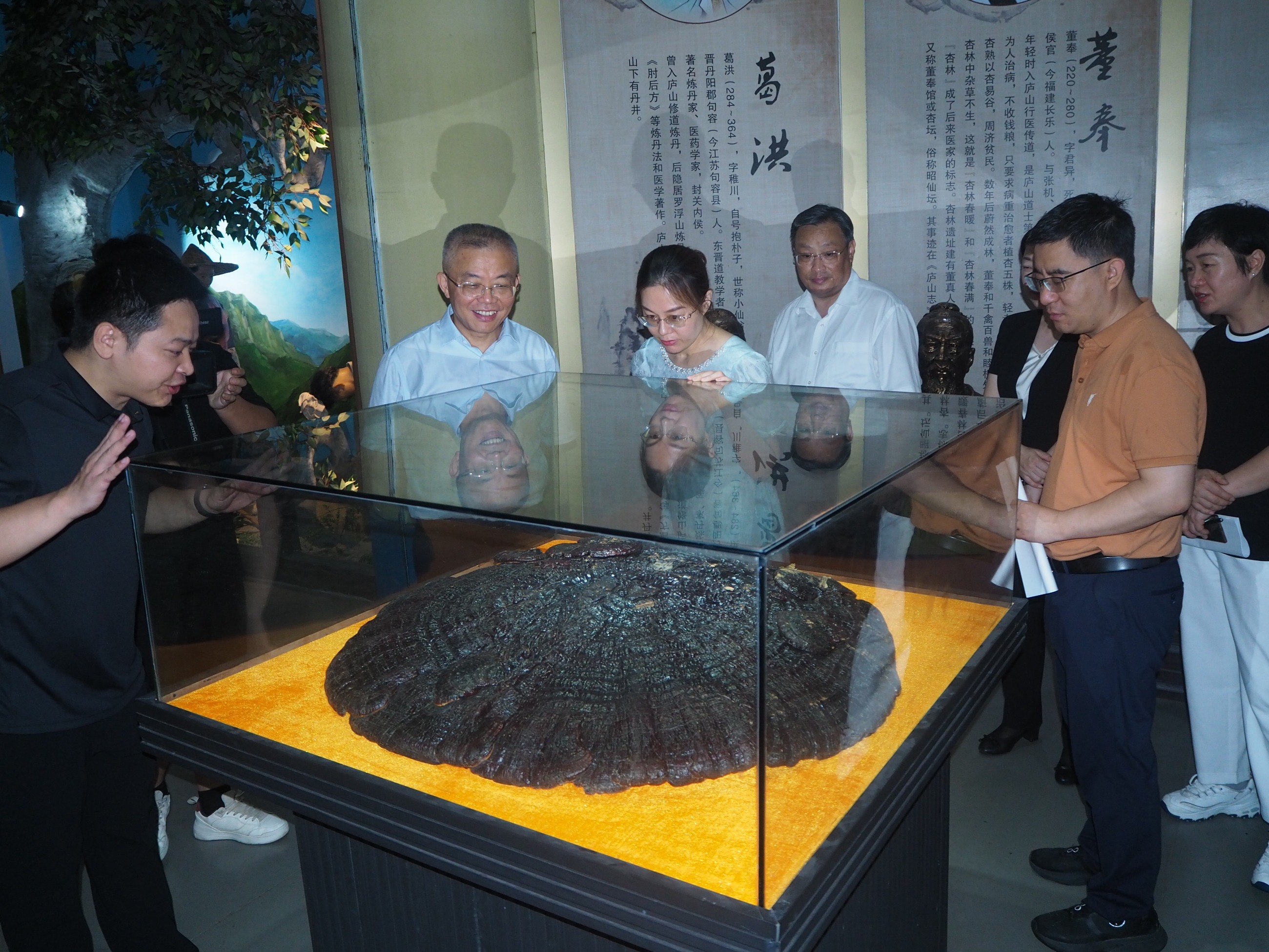 杭州亞運會官方靈芝產(chǎn)品供應商|杭州亞運會官方供應商|中國靈芝十大品牌|仙客來靈芝|仙客來靈芝破壁孢子粉|仙客來孢子油|仙客來靈芝飲片|仙客來破壁孢子粉|靈芝孢子油|孢子粉|靈芝破壁孢子粉|靈芝|中華老字號